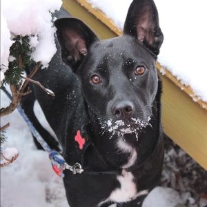 Meet your Posher, Nancy